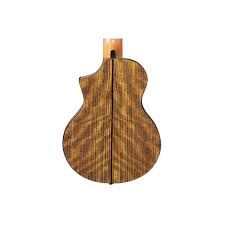 IBANEZ-EWP14WB-OPN-Mini-Akustik-_72267_4